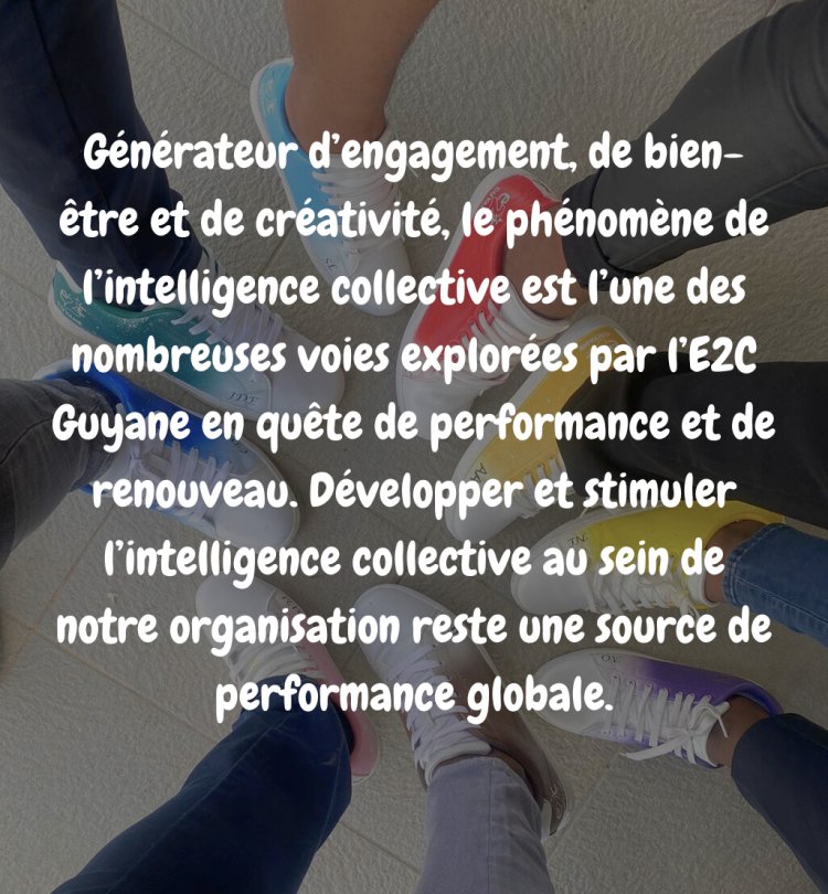 L’E2C Guyane à travers L’INTELLIGENCE COLLECTIVE