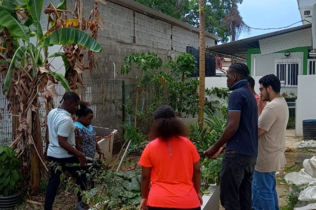 Bilan de la SEDD 2024